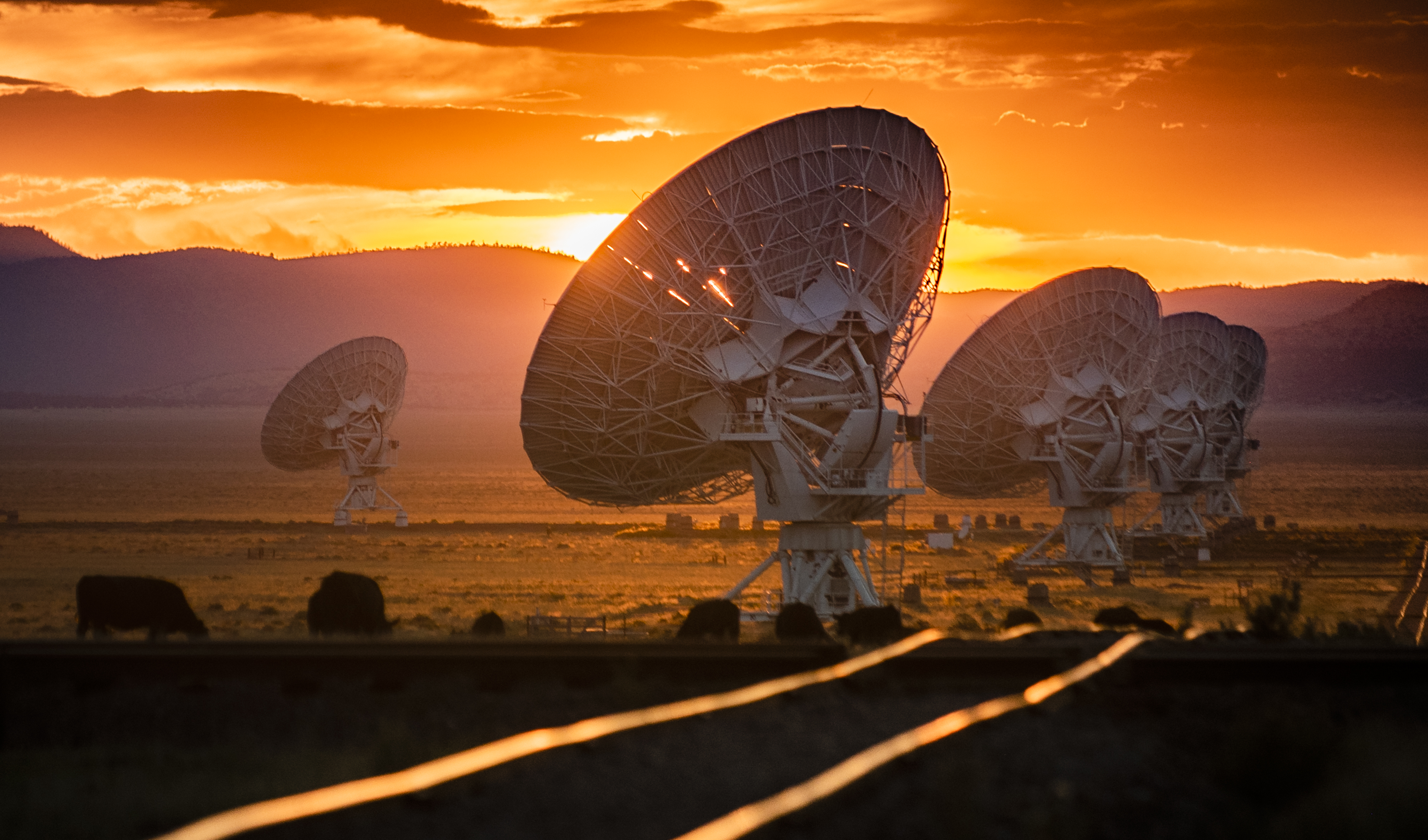 Very Large Array salletite dishes